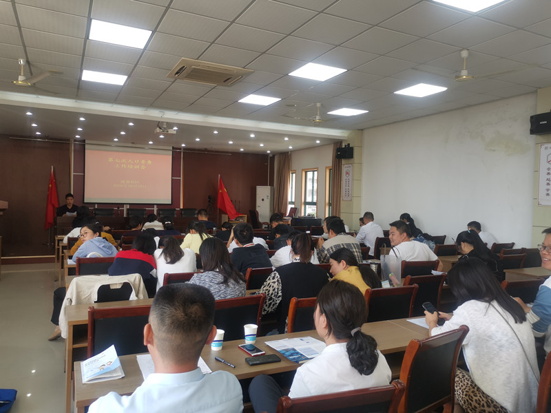 社区第七次人口普查宣传工作_第七次人口普查宣传图(3)