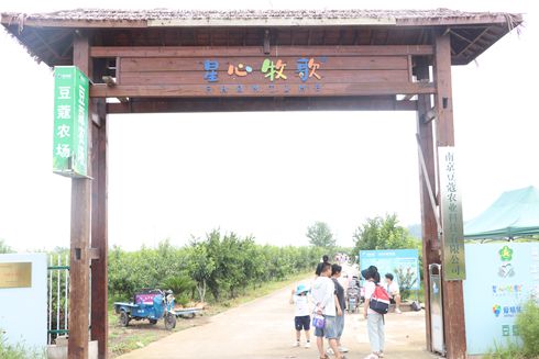 新农社区举办庆六一迎端午“童言童语 快乐绽放”主题融合活动