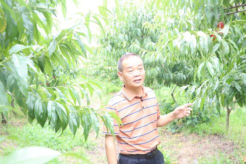 新农社区举办庆六一迎端午“童言童语 快乐绽放”主题融合活动