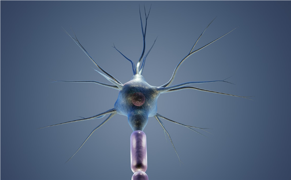 科学家驯服寄生虫帮人类治病:可携带药物进入大脑