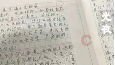 14岁初中生作文，为何戳中网友泪点？