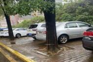 江苏多地群众反映小区停车 “堵心事” 获回应解决