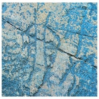 寻史访碑，南京大学教授程章灿与石刻“对话”