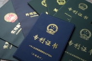 第二届江苏专利奖名单公布 79个项目超九成落地