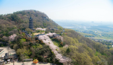 从堵车到堵“山”流量如何变“留量”？