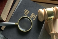 江苏专利密集型产品认定数量居全国首位