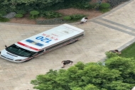 父亲把孩子独自留在家中去遛狗，重庆2岁幼童爬上阳台从18楼坠亡，父亲发声：我很愧疚