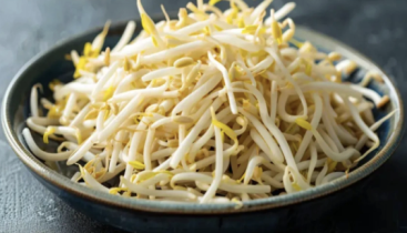 豆芽立大功！浙江大学从中发现神秘因子：36小时清除50%肠道垃圾