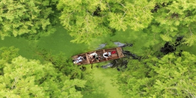 绿意环抱 扬州渌洋湖湿地公园消暑正当时