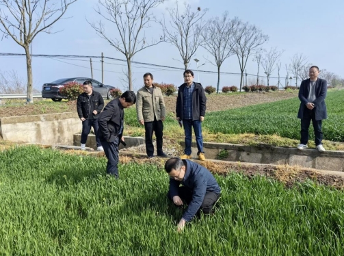 微信截图_20240402151459