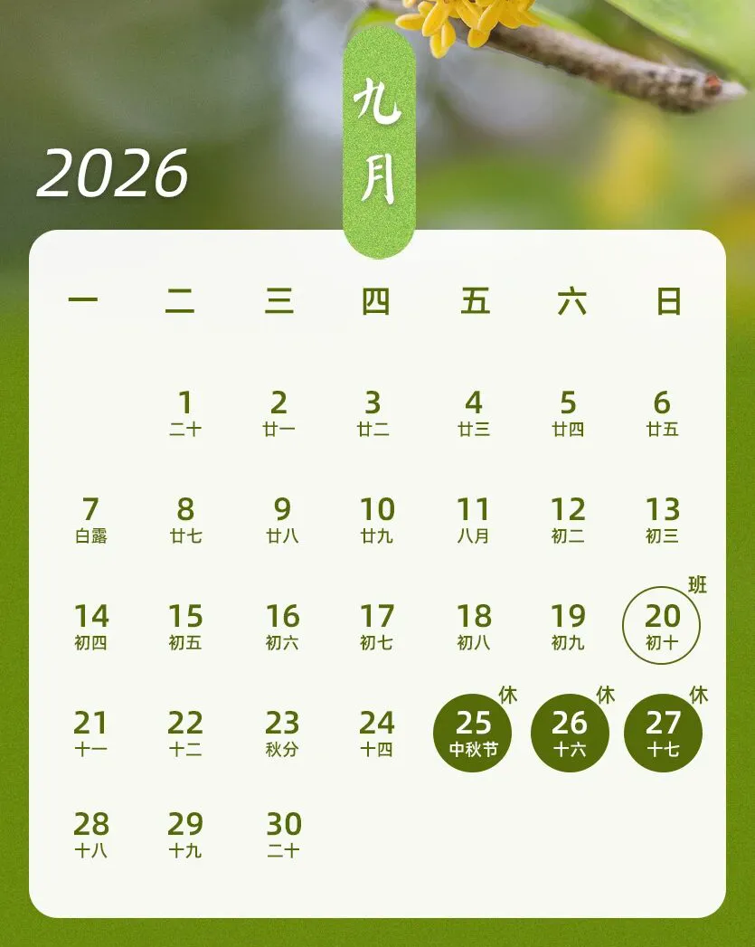1 1