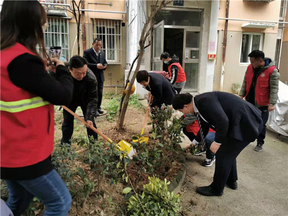 馨康苑社区党总支开展“结对共建”义务植树活动