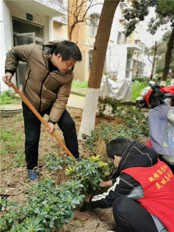 馨康苑社区党总支开展“结对共建”义务植树活动