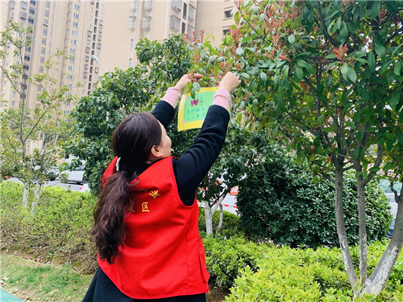蛇盘社区党总支: 爱绿护绿志愿行