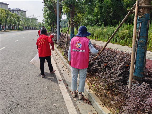 巾帼有为 助力环境整治