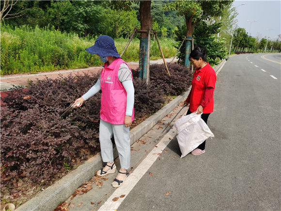 巾帼有为 助力环境整治