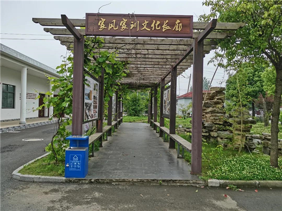 湖熟新农村 奋斗再出发丨杨柳湖社区：以红色传承 助魅力杨柳