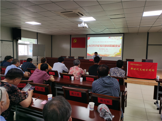 摄山村：书记带头讲党课 党史学习再入心