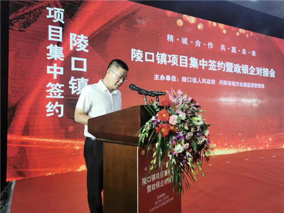 江苏丹阳陵口镇开展项目集中签约暨政银企对接会