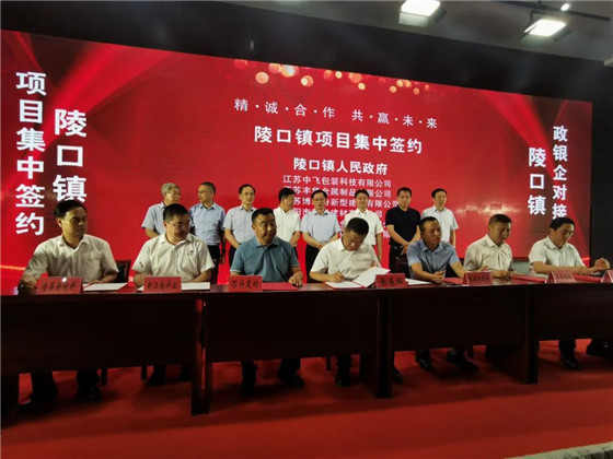 江苏丹阳陵口镇开展项目集中签约暨政银企对接会