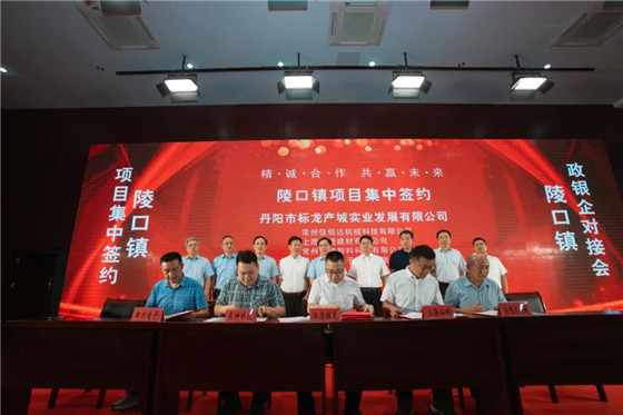 江苏丹阳陵口镇开展项目集中签约暨政银企对接会