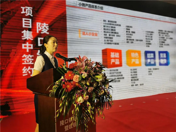 江苏丹阳陵口镇开展项目集中签约暨政银企对接会
