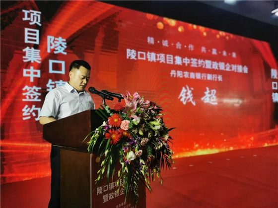江苏丹阳陵口镇开展项目集中签约暨政银企对接会