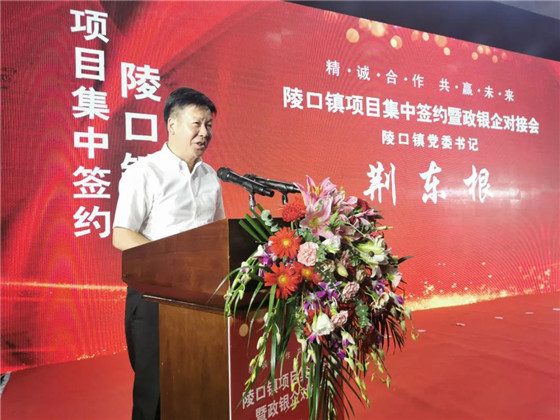 江苏丹阳陵口镇开展项目集中签约暨政银企对接会