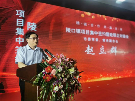 江苏丹阳陵口镇开展项目集中签约暨政银企对接会