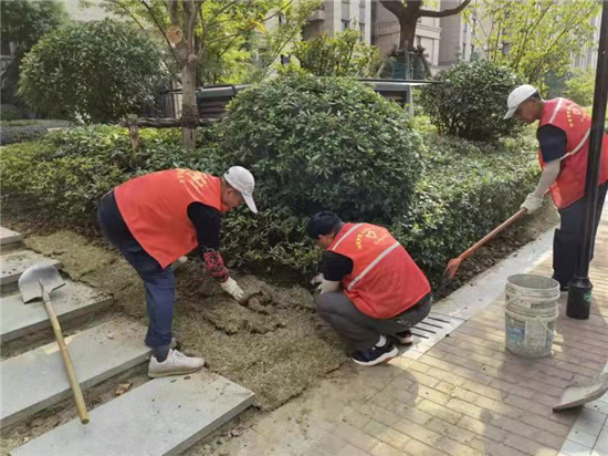 石埠桥村社区残疾人之家：草皮资源再利用 即节资又改善环境