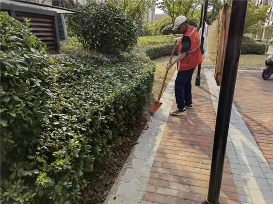 石埠桥村社区残疾人之家：草皮资源再利用 即节资又改善环境