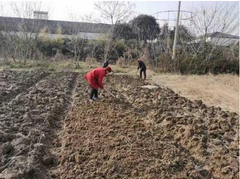 “常青菜园”柏树村残疾人农疗服务基地挂牌开园