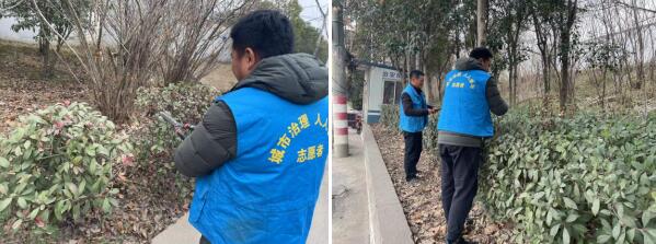 东阳社区：修剪绿篱 美化环境