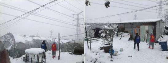 新杭社区:金陵飘雪兆丰年 清扫路面送便利