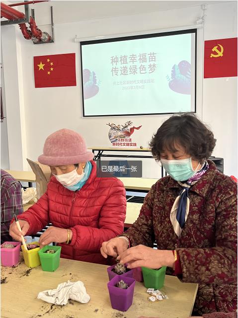 向上社区开展多肉盆栽种植活动