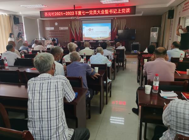 红船依旧 初心不变 茶岗村开展七一主题活动